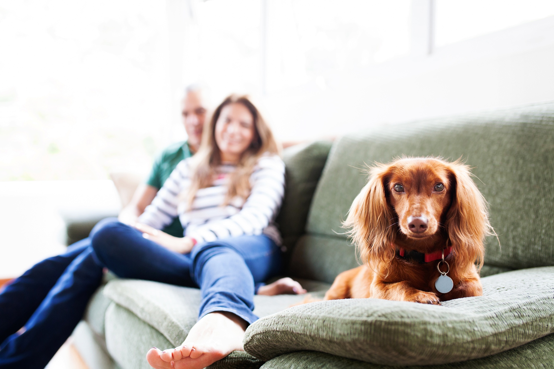 iStock-475159398.jpg