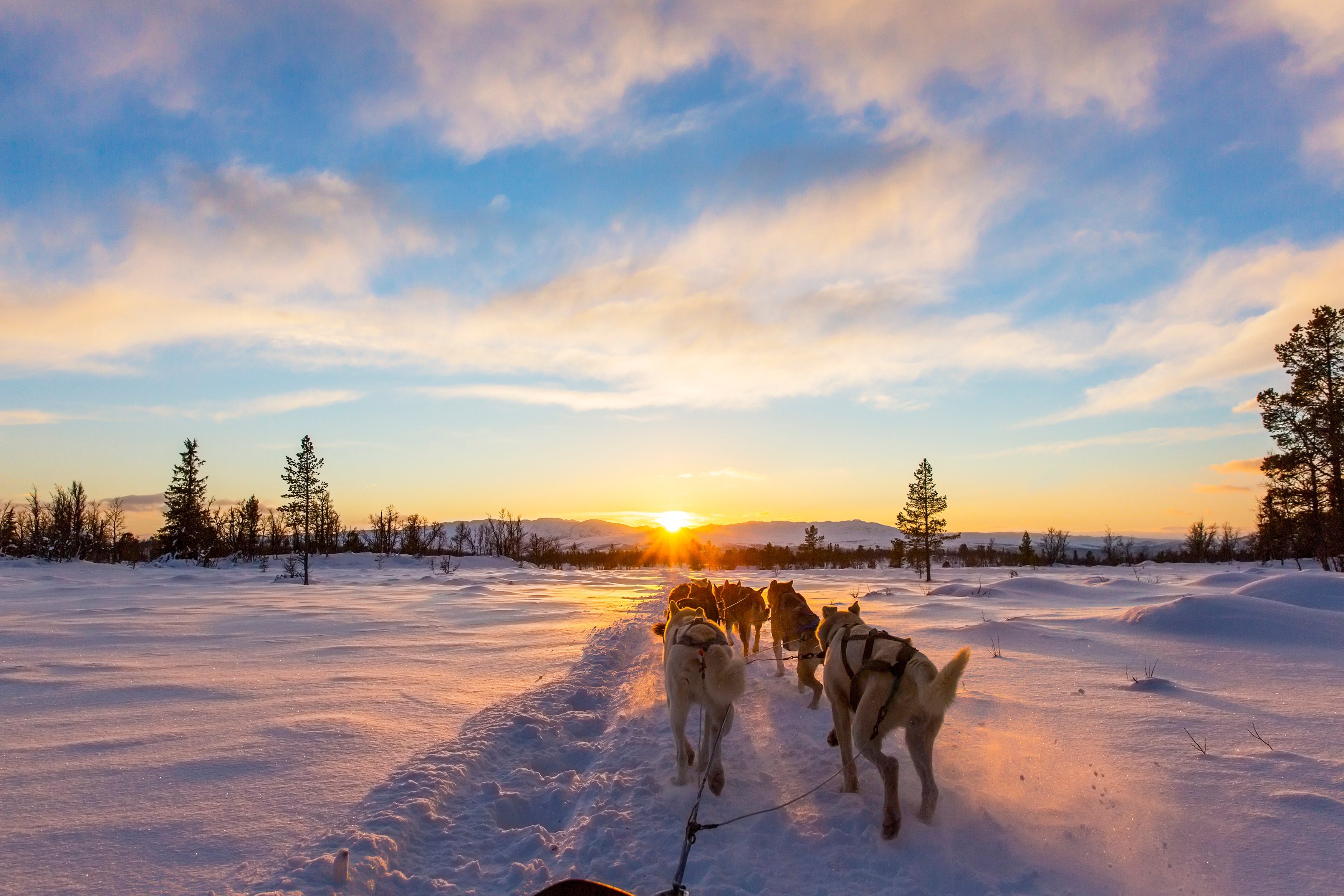 iStock-502633552.jpg
