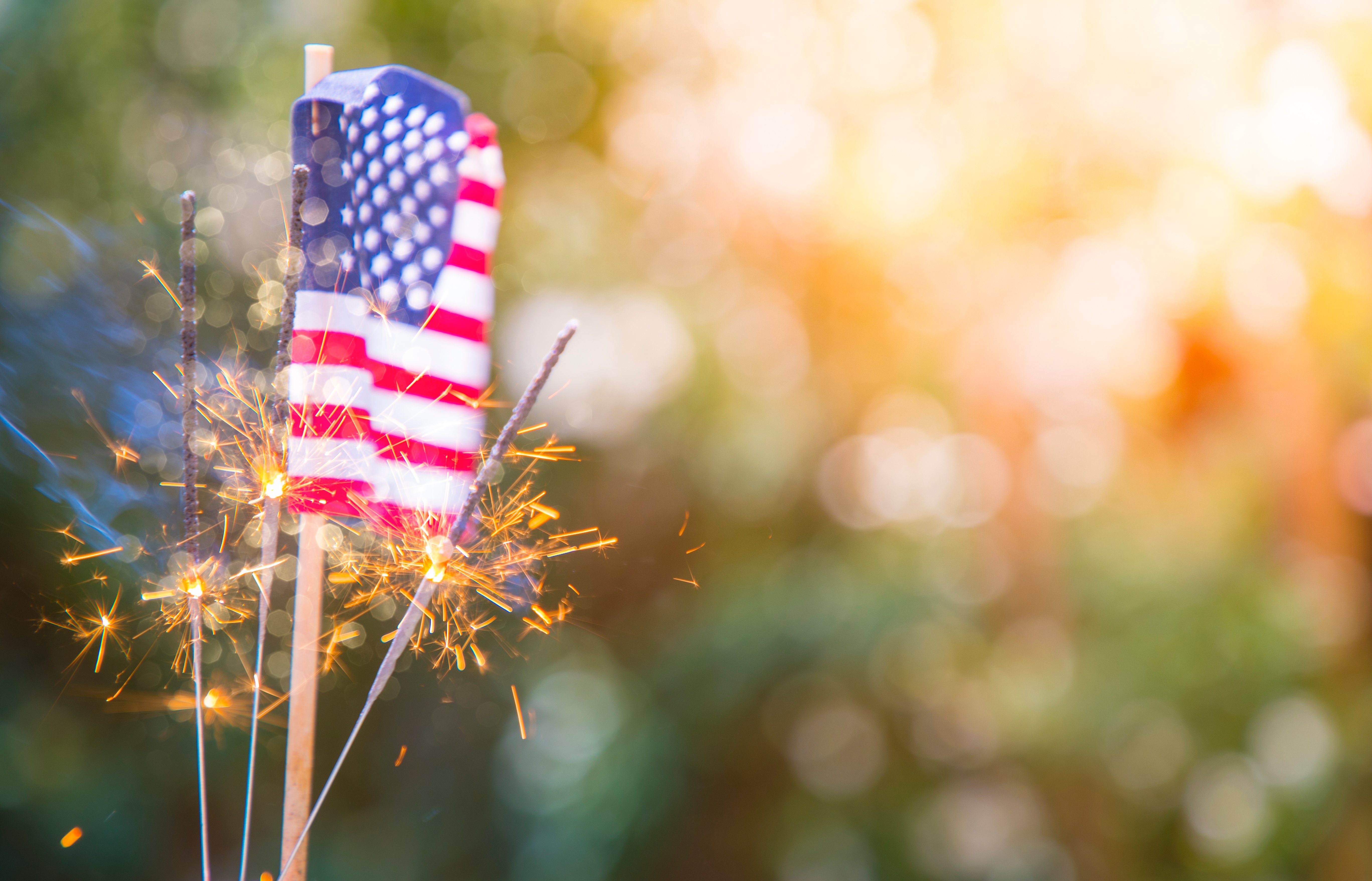 Fourth of July Party at Your House