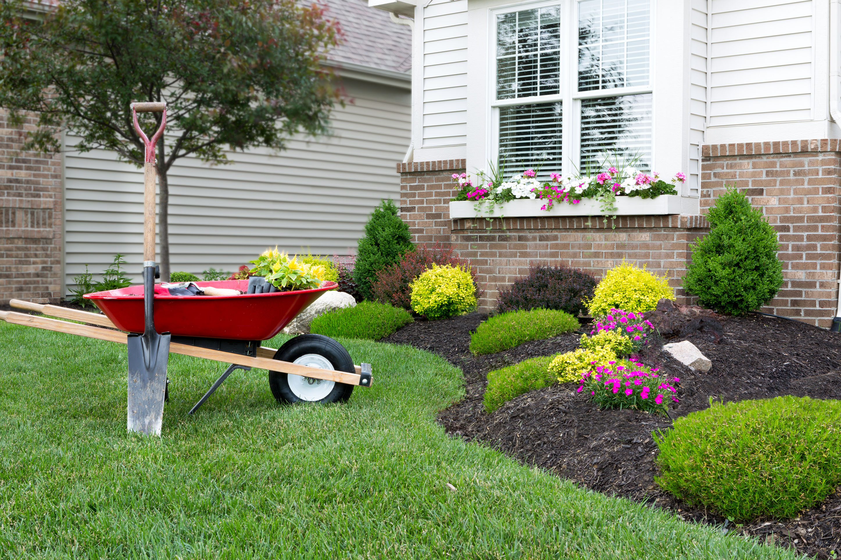 Photo of landscaping home improvements.