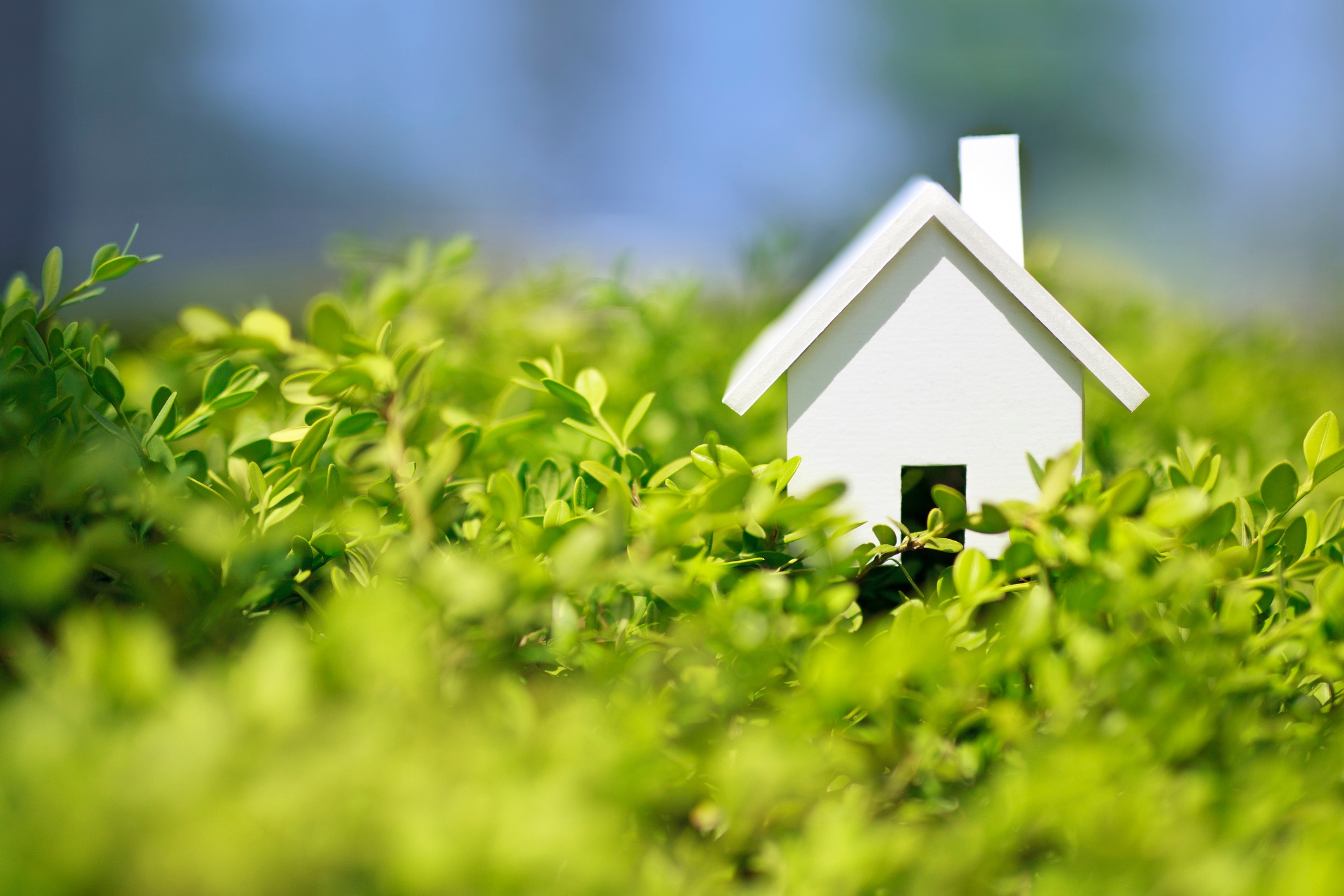 So You Think You Want to Live in a Tiny Home These Are the Real Costs of Tiny Home Living