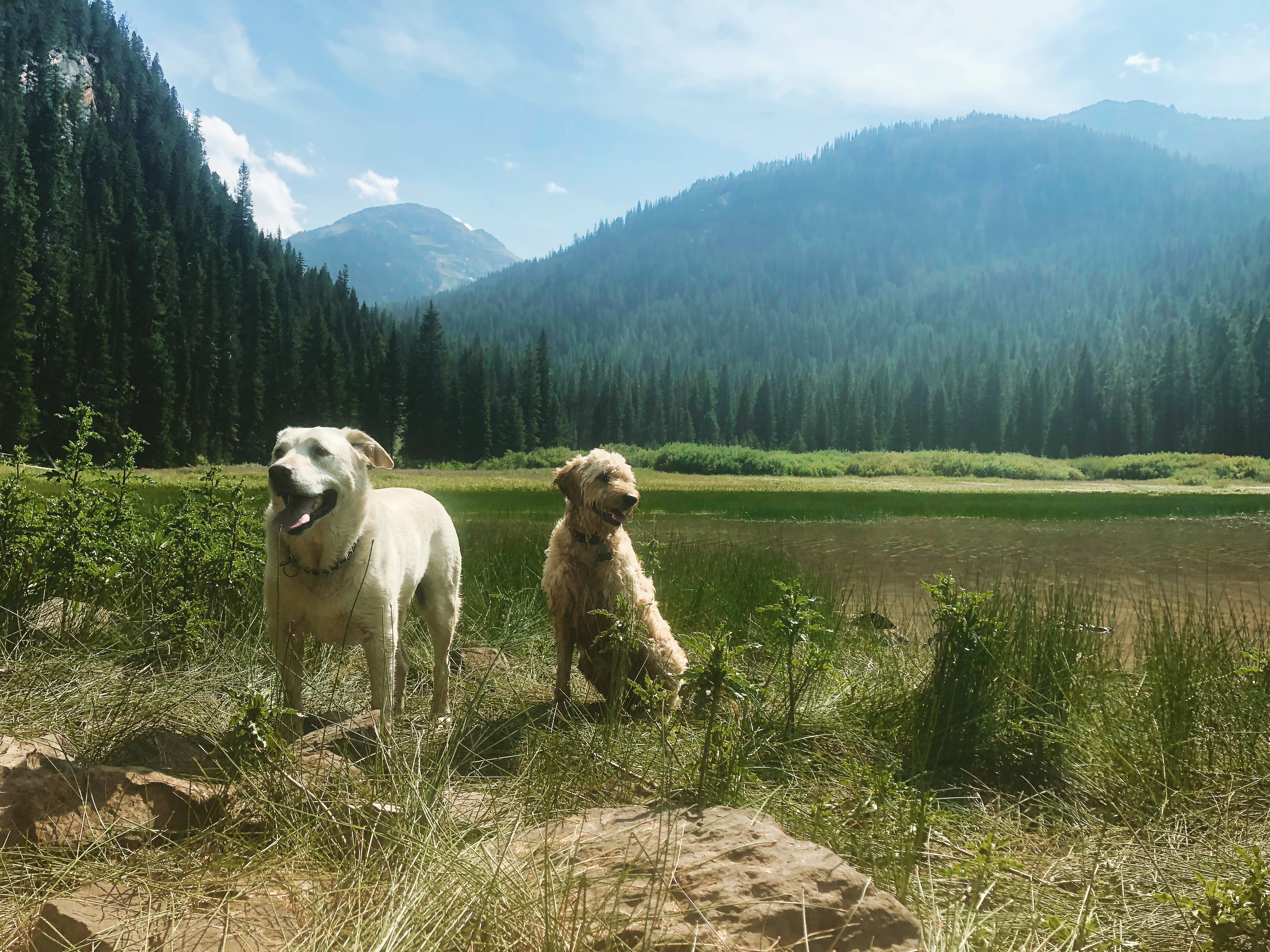TopTenThingsLocalsDoInGallatinValley