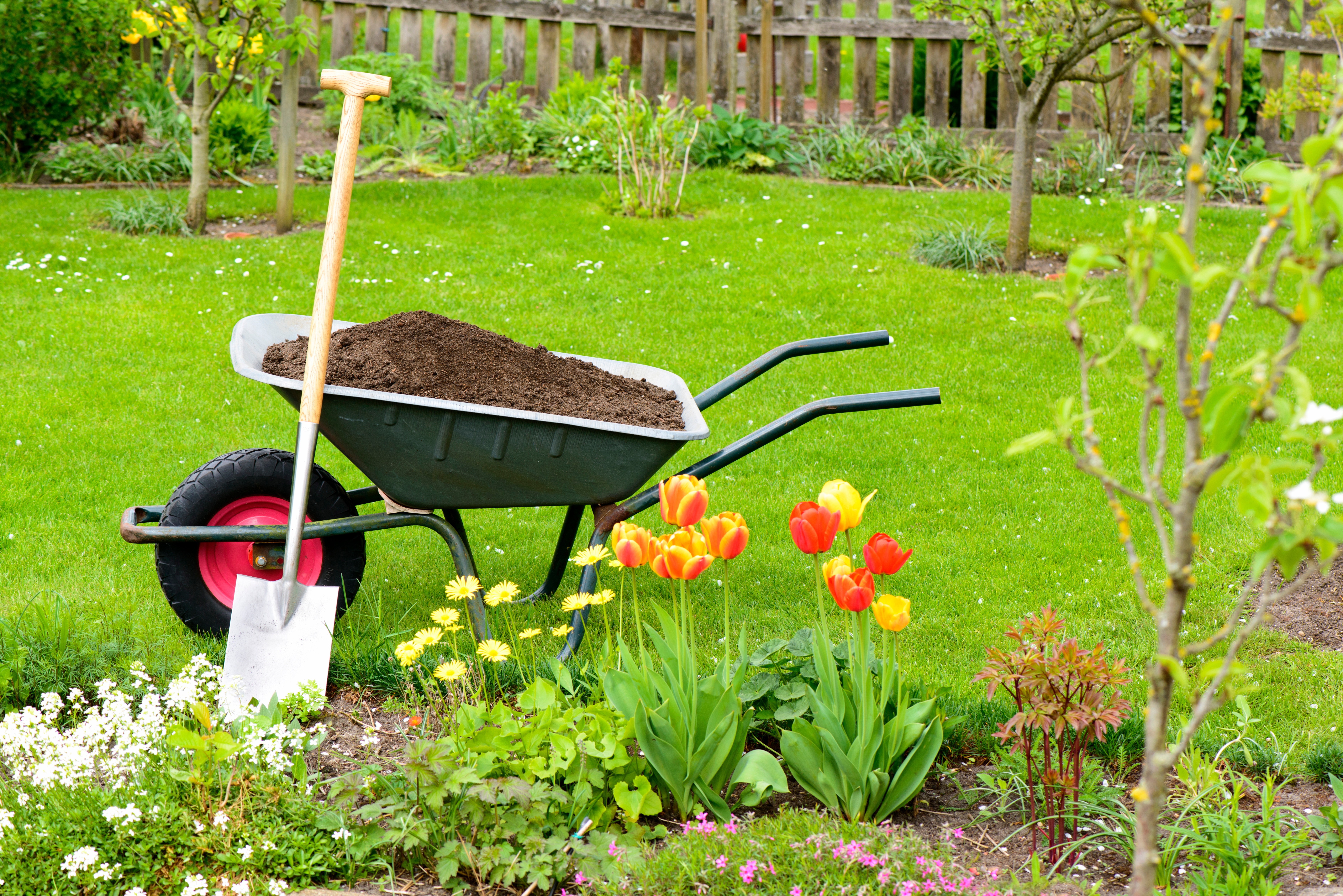 Up Your Home's Curb Appeal Without Upping Your Budget