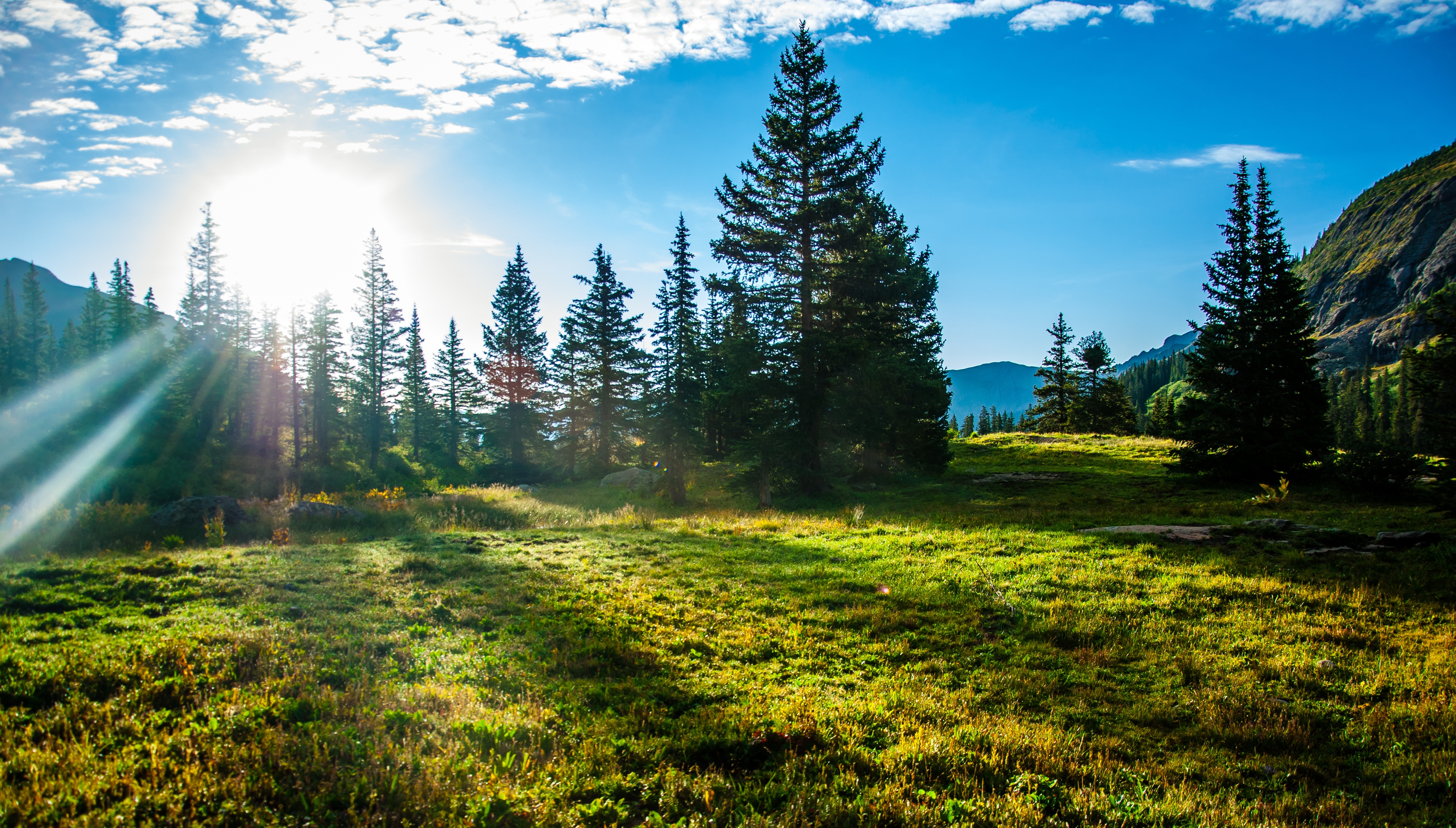 iStock-495802984